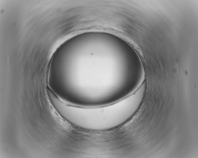 X0000087381530200705111723