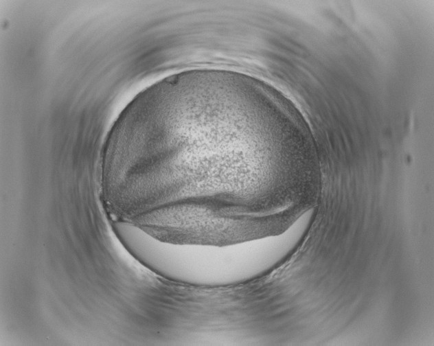 X0000087381531200705111723