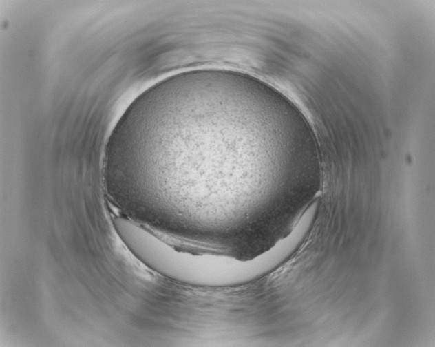 X0000087381532200705111723