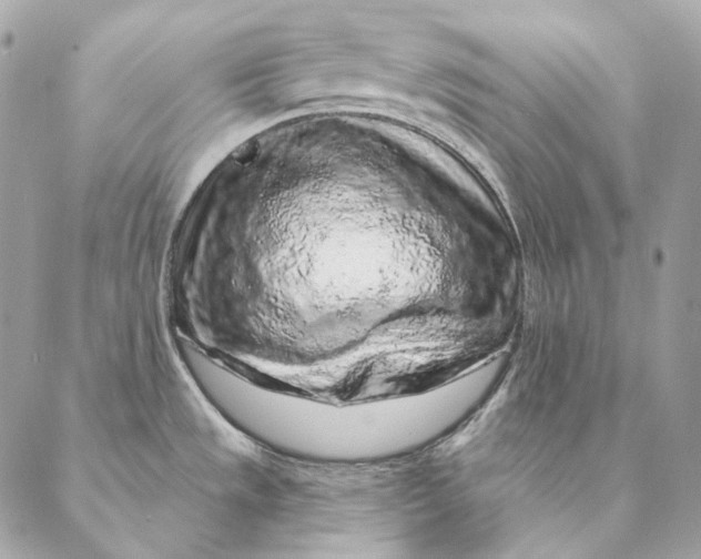 X0000087381533200705111723