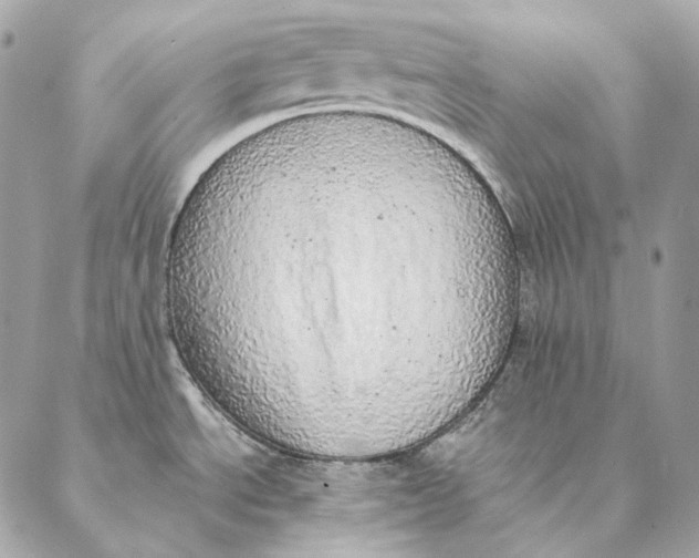 X0000087381534200705111723