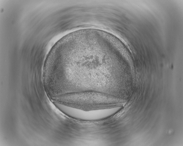 X0000087381535200705111723