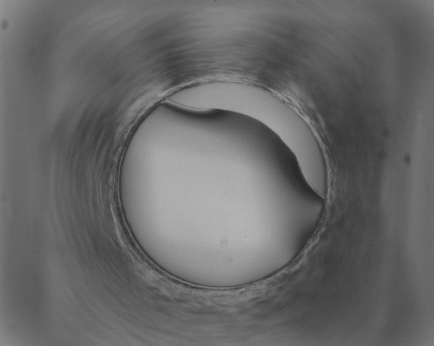 X0000087380001200705181254