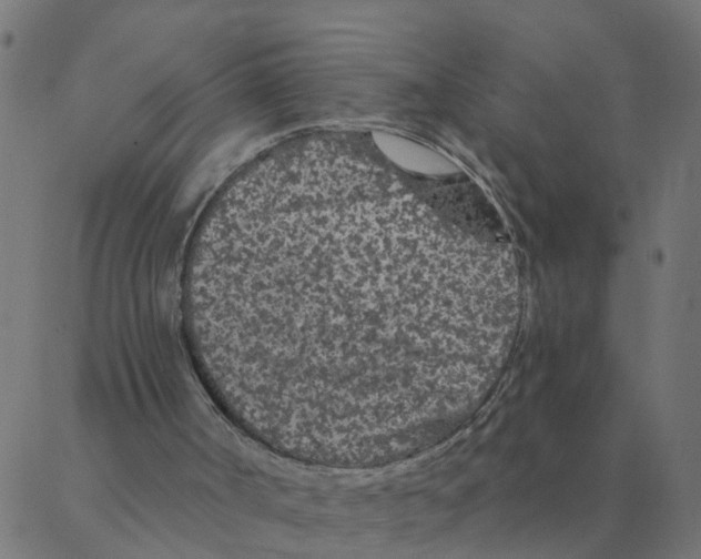 X0000087380002200705181254