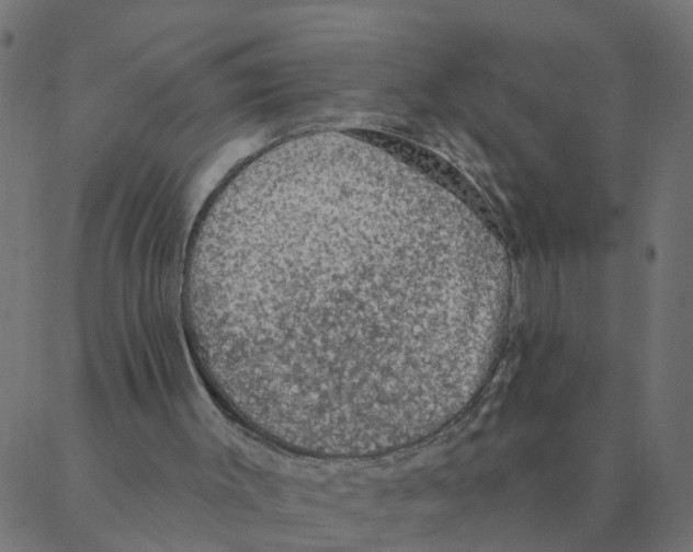 X0000087380003200705181254