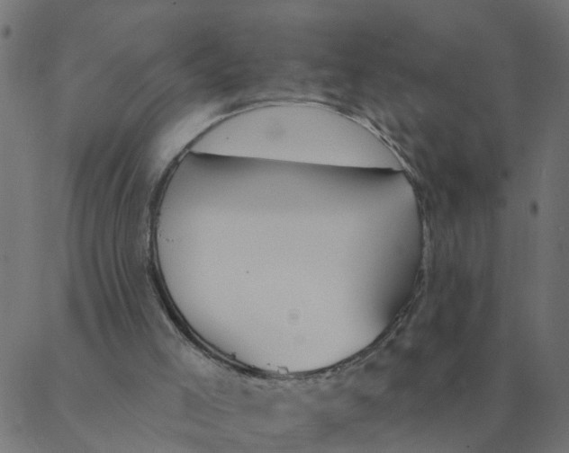 X0000087380005200705181254