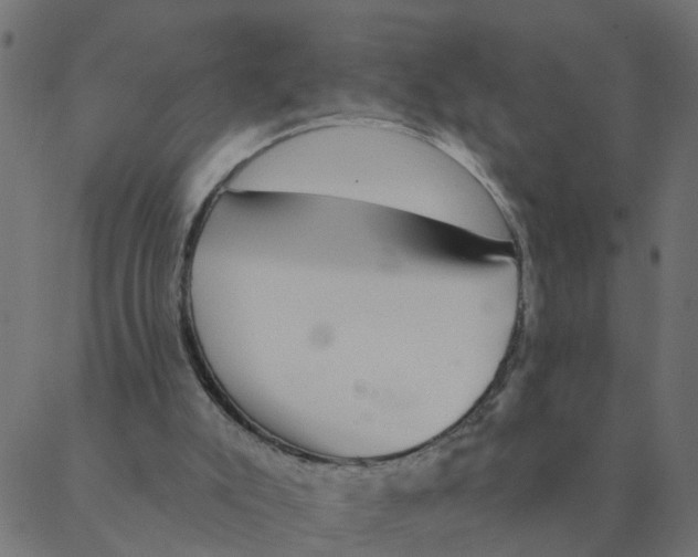 X0000087380007200705181254