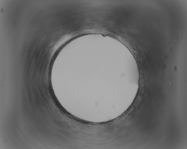 X0000087380008200705181254