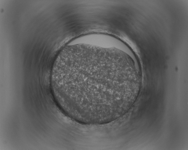 X0000087380009200705181254