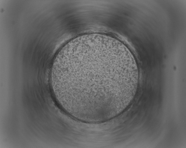 X0000087380010200705181254