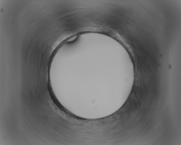 X0000087380011200705181254