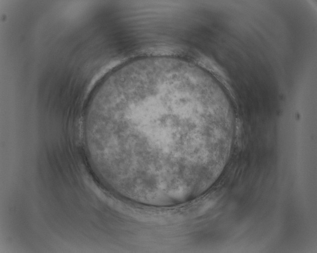 X0000087380012200705181254