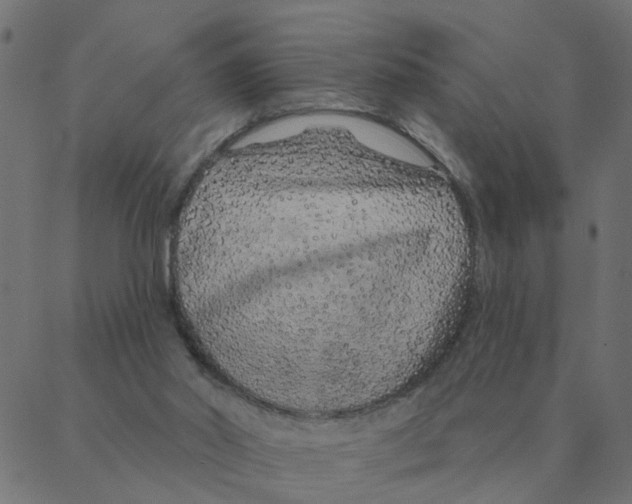 X0000087380014200705181254