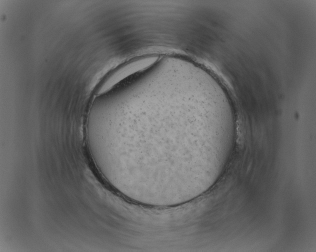 X0000087380015200705181254