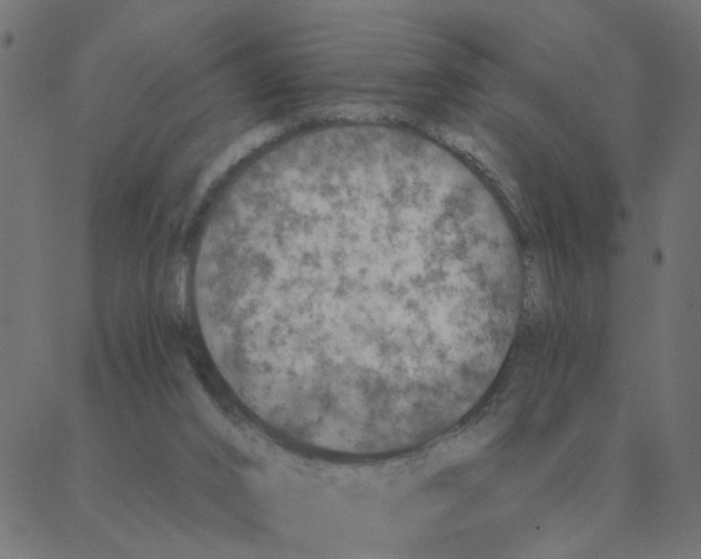 X0000087380016200705181253