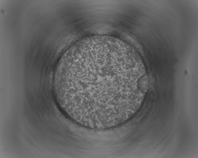 X0000087380018200705181253