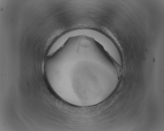 X0000087380019200705181253