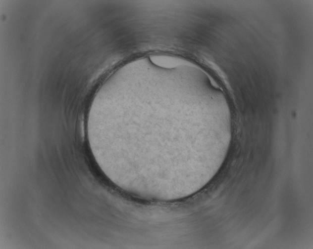 X0000087380020200705181253