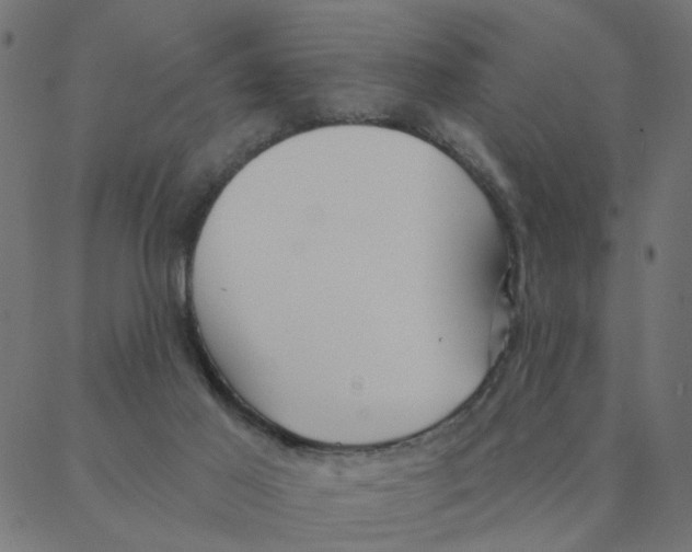 X0000087380021200705181253