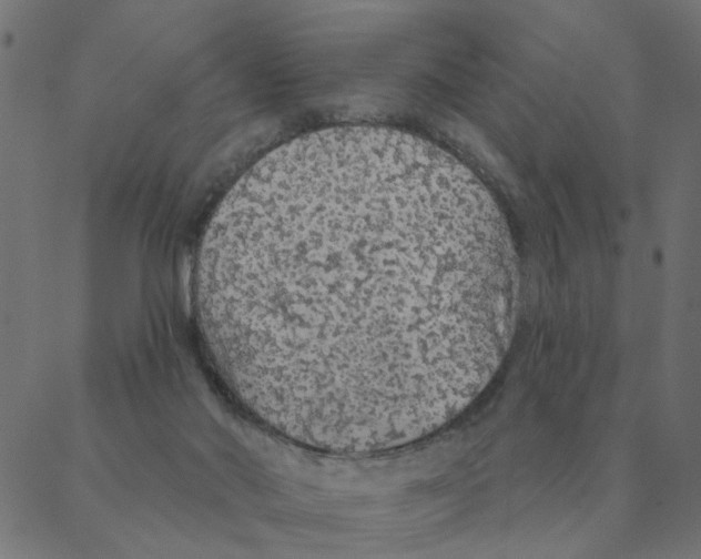 X0000087380022200705181253