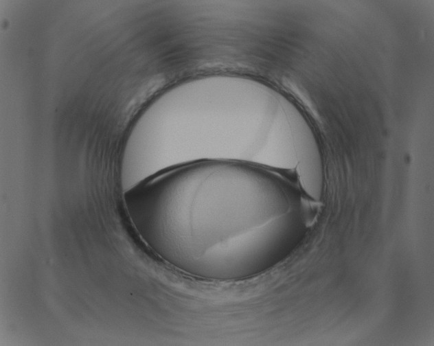 X0000087380023200705181253