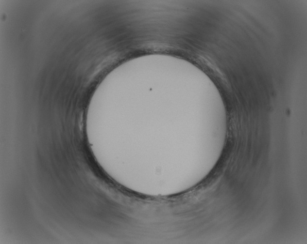 X0000087380024200705181253