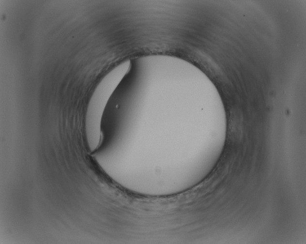 X0000087380025200705181253