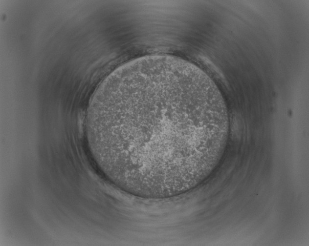 X0000087380026200705181253