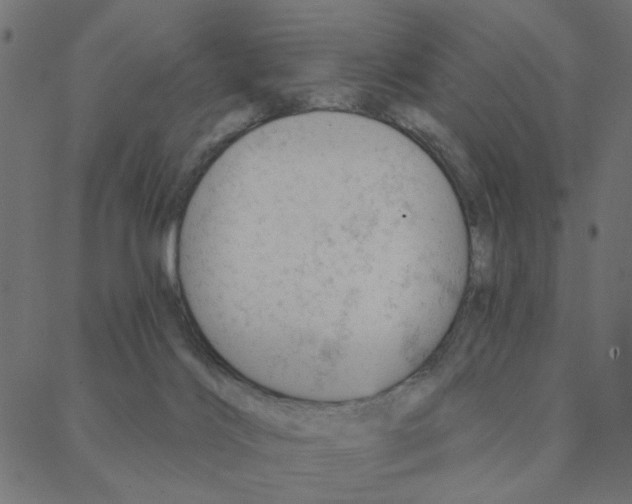 X0000087380028200705181253