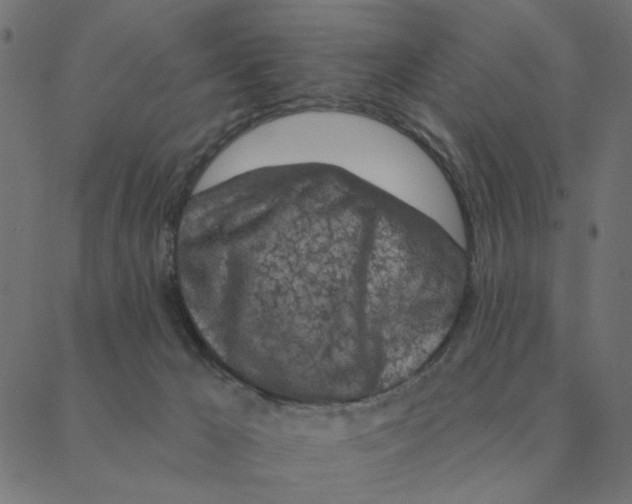 X0000087380029200705181253