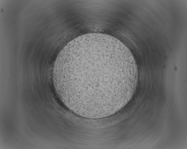 X0000087380030200705181253