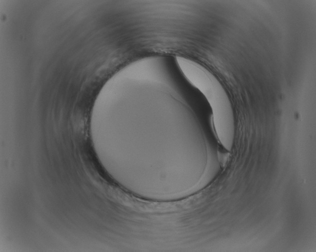 X0000087380031200705181253