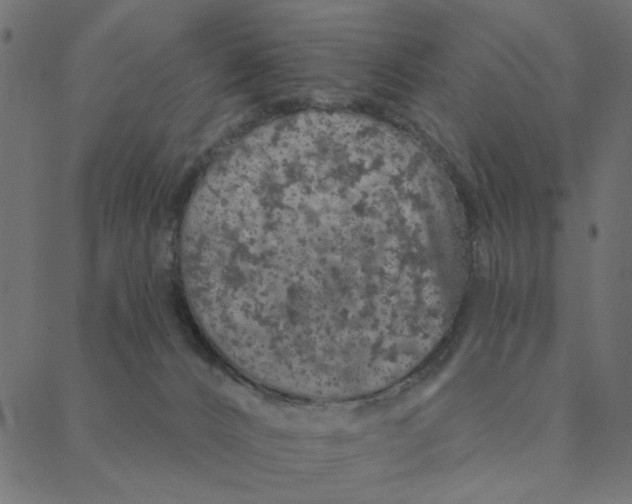 X0000087380032200705181253