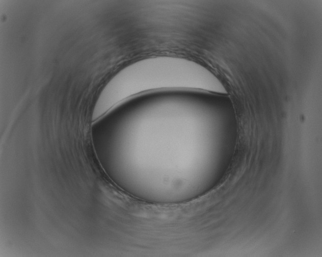 X0000087380033200705181253