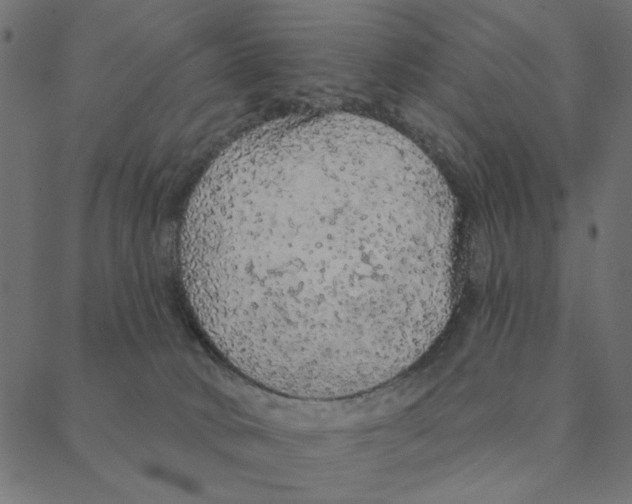 X0000087380034200705181253