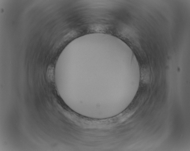 X0000087380036200705181253