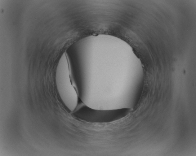 X0000087380037200705181253