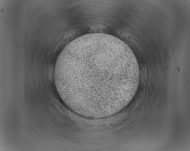 X0000087380038200705181253