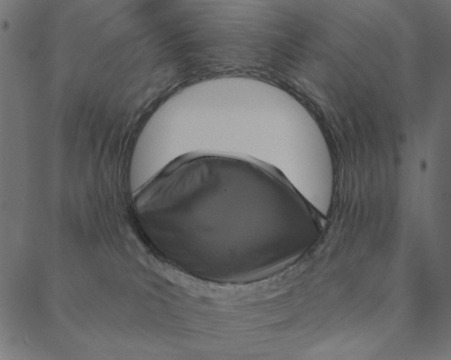 X0000087380039200705181253