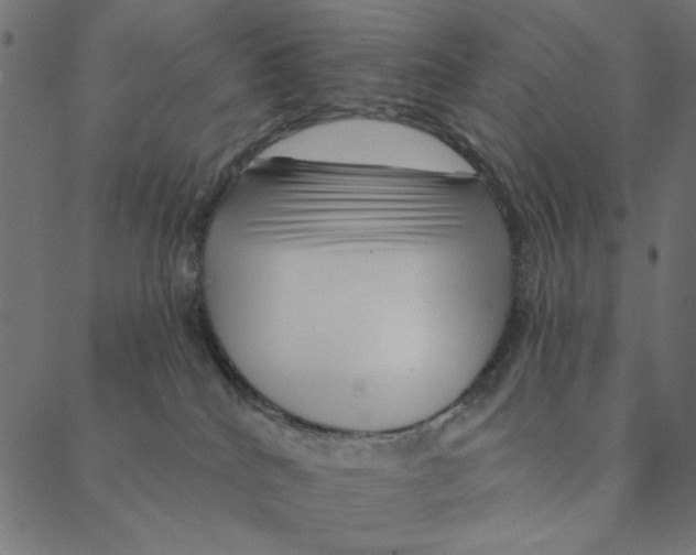 X0000087380040200705181253