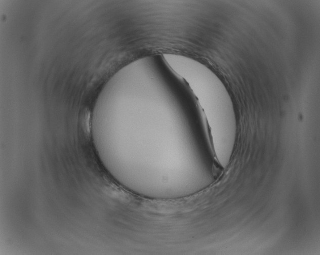 X0000087380041200705181253