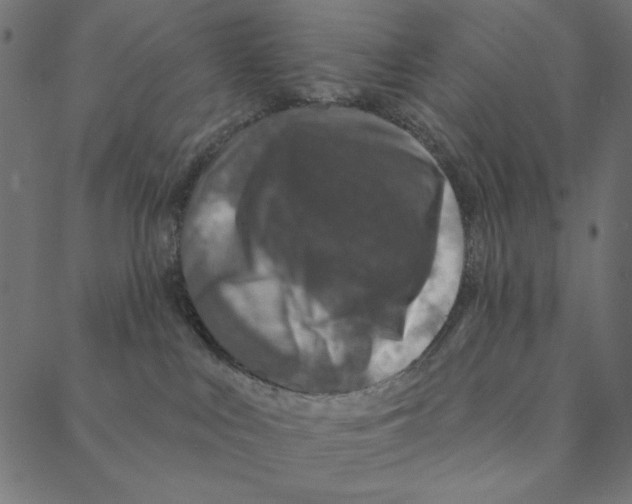 X0000087380043200705181253