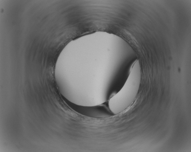 X0000087380045200705181253