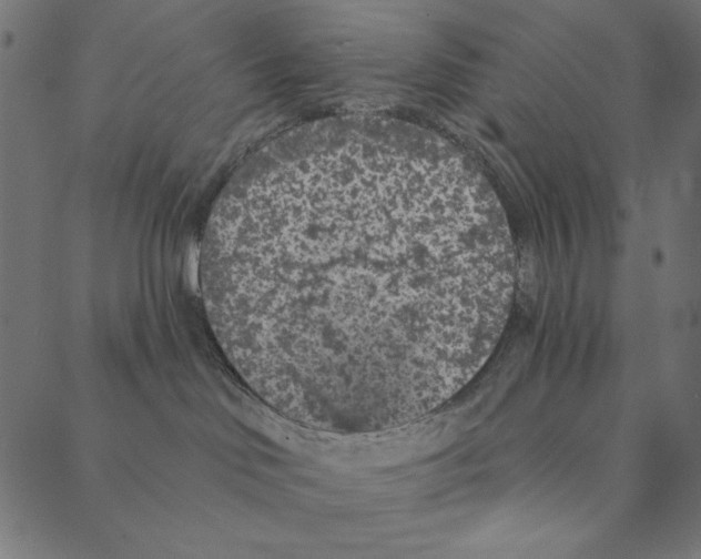 X0000087380046200705181253