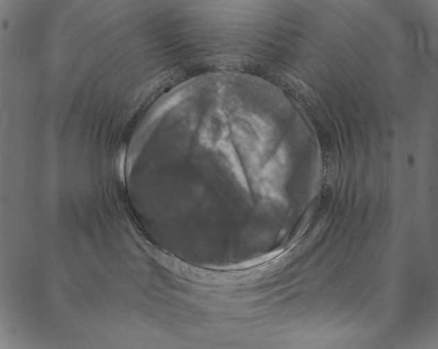 X0000087380047200705181253