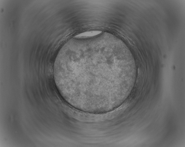 X0000087380048200705181253