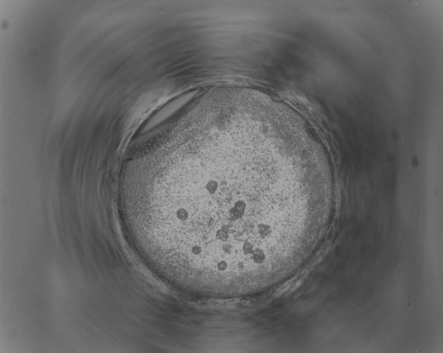 X0000087380049200705181252