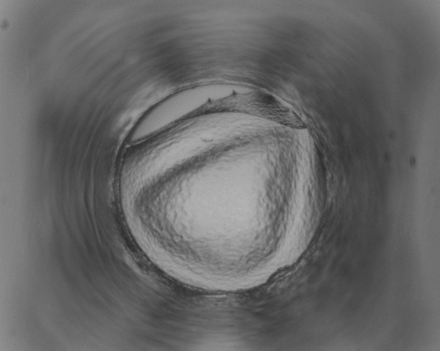 X0000087380050200705181252