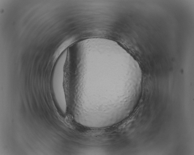 X0000087380051200705181252