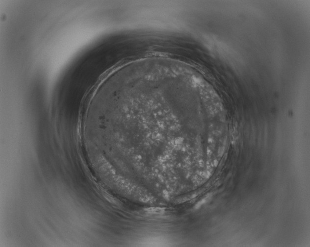 X0000087380052200705181252